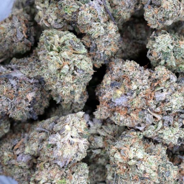 Buy Comatose weed online and other strong indica strains without medical license.