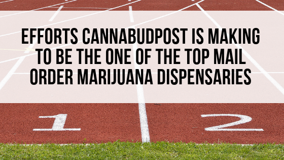 Why CannabudPost is one of the best mail order marijuana dispensaries in all of Canada. Get to know us as a company. Learn about our mission and our brand.