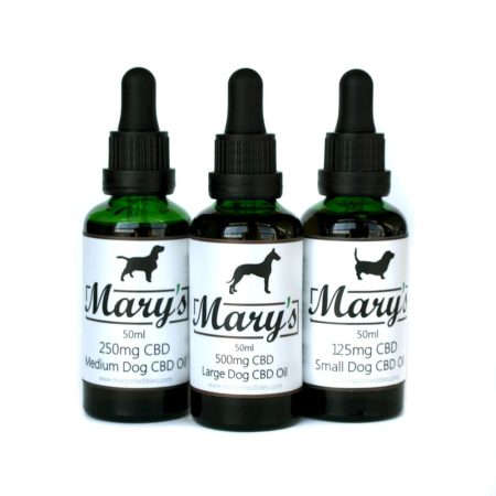 cbd oil for pets helps them relieve inflammation, anxiety and avoid loss of appetite