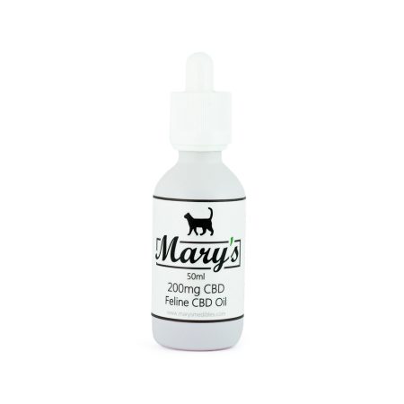 CBD tinctures for felines can benefit your cat's health in many ways. Where can you buy feline CBD in canada?