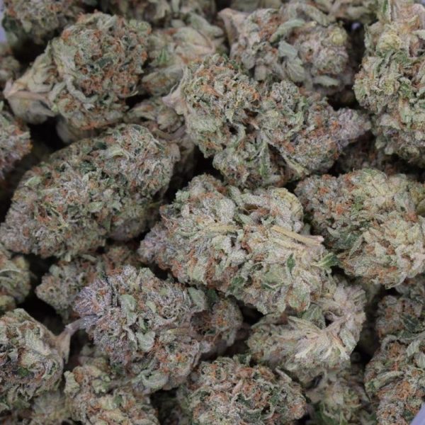 Lindsay OG