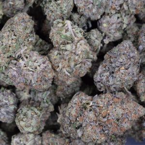 Where can you buy tuna kush in canada?