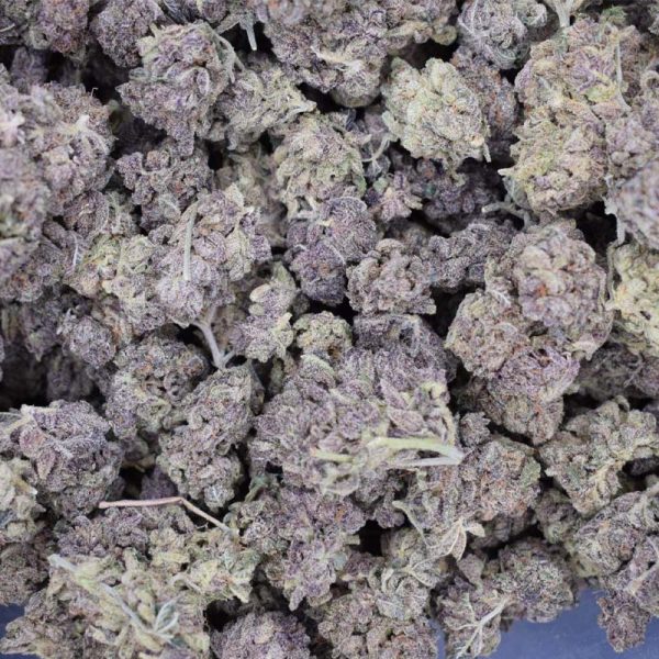 Purple Candy (AAA)