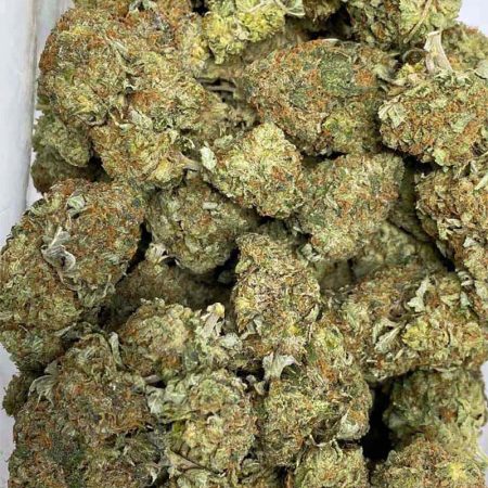 Kushberry is the perfect choice for those that smoke to not only get high, but also to enjoy the rich flavours and terpenes that cannabis has to offer..