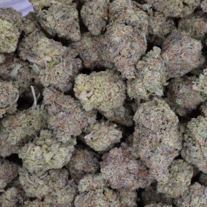 Blue Cheese was bred by crossing Blueberry and UK Cheese. This Hybrid strain has an unforgettable pungent taste, and delivers a deep body stone.