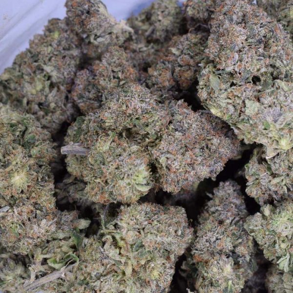 Ice Wreck is a potent Hybrid strain that provides the perfect balance between cerebral and deep body stone. This strain's THC content reaches up to 28%.