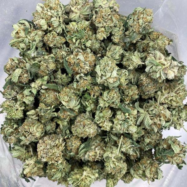 This is a pure indica kush marijuana strain that comes from the Hindu Kush family. It is a landrance strain. Where to buy afghan kush online in Canada