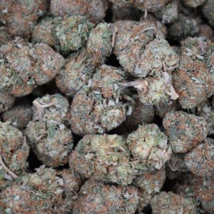 Buy Gorilla Glue #4 online