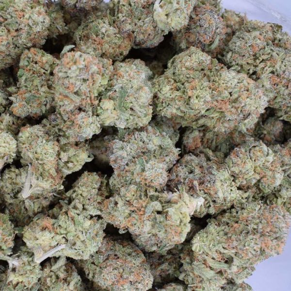 Blueberry AK (AAA+)