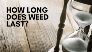 Does weed go bad? Learn how long your weed can last and how long you can store weed for.