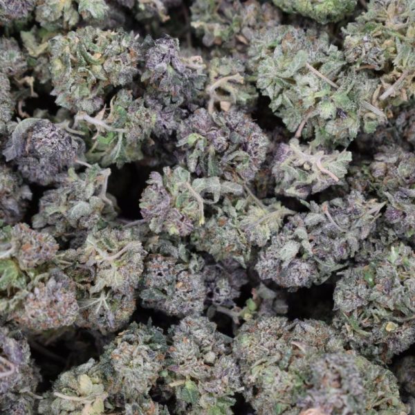 Black Gas (Quad Smalls)