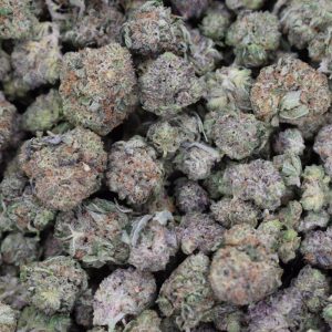 Black Gas (Quad Smalls)