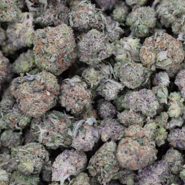 Black Gas Quad Smalls