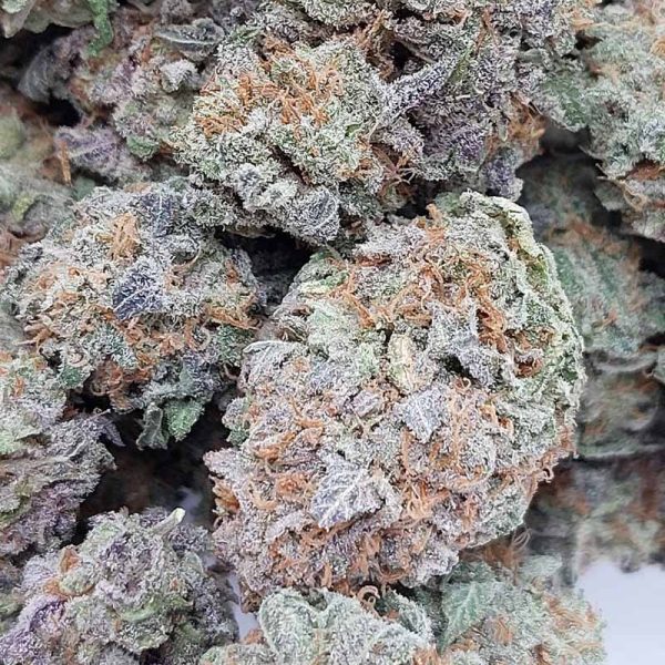 Pink Gorilla is a balanced hybrid marijuana strain that can put medical marijuana patients in a state of relaxation and deep euphoria.