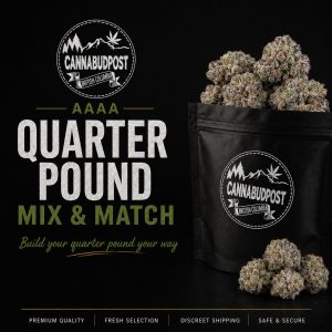 AAAA Quarter-Pound Mix & Match