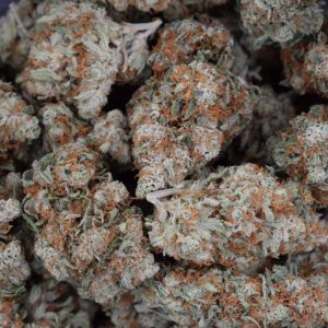 Red Congolese (AAAA)