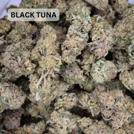 420 QP SALE! NEW SELECTION NOV 03