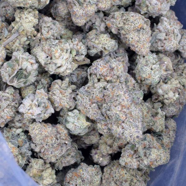 Buy Blueberry weed from an online dispensary in Canada.