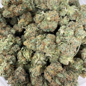 Buy Chocolope strain online in Canada. Where can you buy Chocolope weed?
