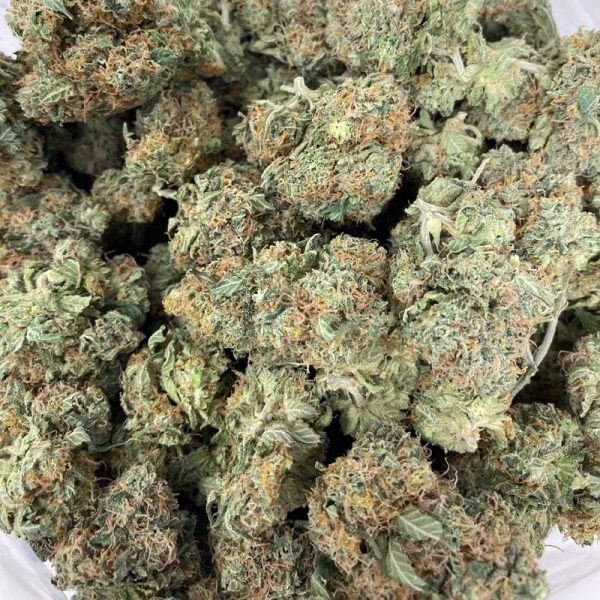 Buy Chocolope strain online in Canada. Where can you buy Chocolope weed?