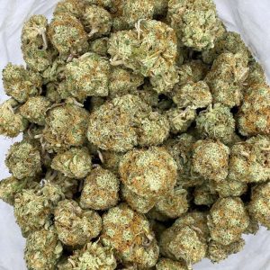 Buy Chocolope strain online in Canada. Where can you buy Chocolope weed?