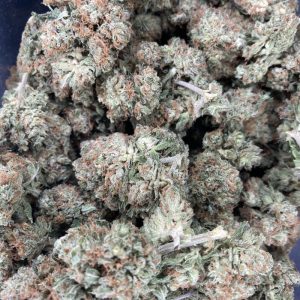 Northern Lights (AAA)