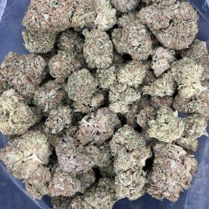 Master Kush Ultra (AAA)