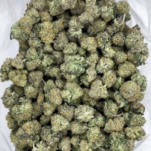 Buy Forum Cut Girlscout Cookies by Flawless BC from Cannabudpost, one of BC's best online dispensary. Get an amazing weed deal.Buy Forum Cut Girlscout Cookies by Flawless BC from Cannabudpost, one of BC's best online dispensary. Get an amazing weed deal.
