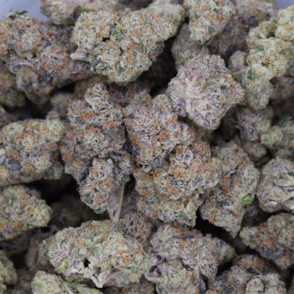 Tropicana Banana Pie (Quad Mediums)