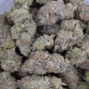 Frosted Gelato (AAAA)