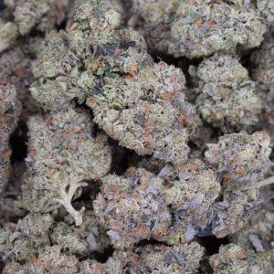 Dank Schrader (AAAA)