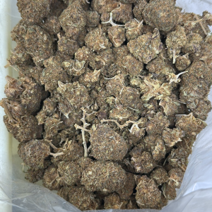 Harlequin (AAA+) Smalls CBD