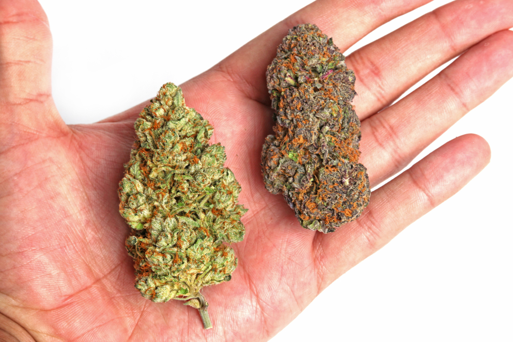Buy indica strains, craft cannabis, budget buds, edibles, cannabis concentrates and more at an online dispensary