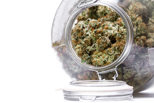 Buy weed online from a weedman who stores your buds properly with boveda packs