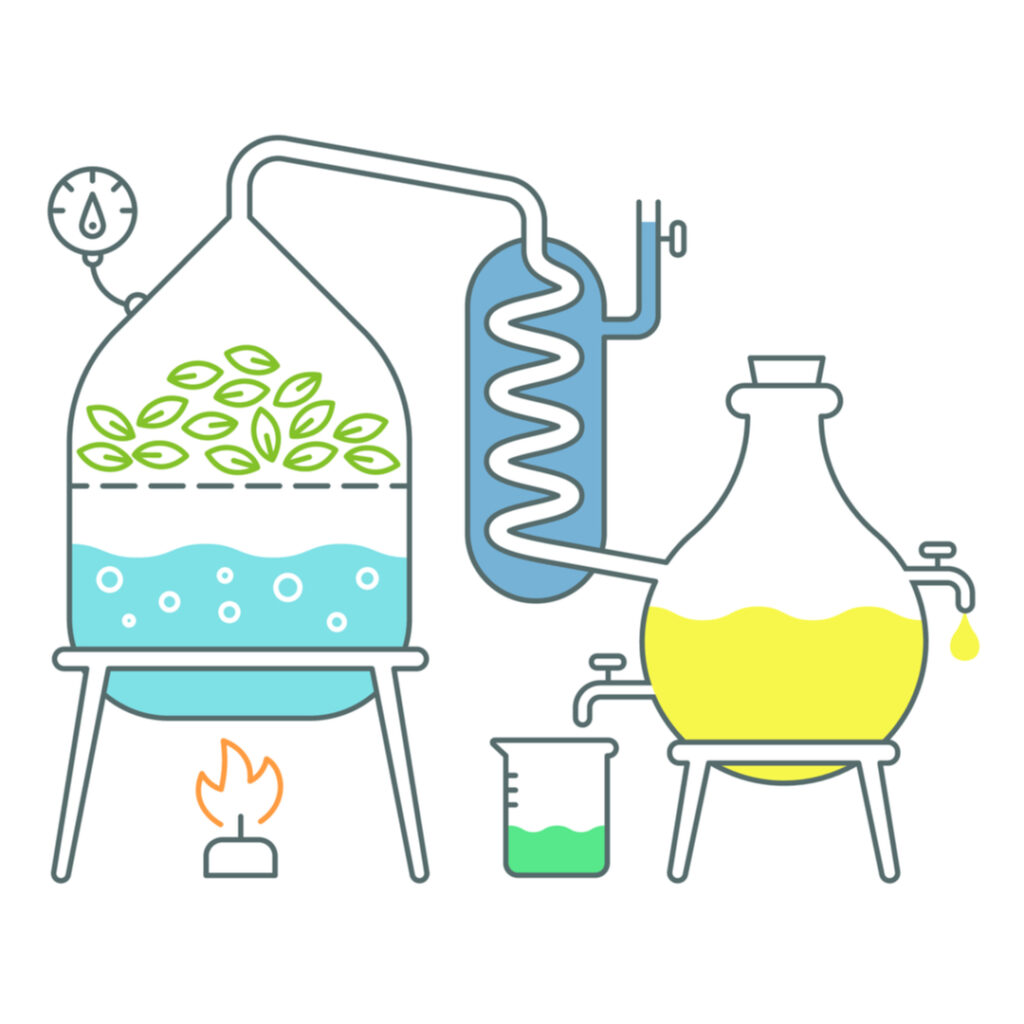 Plant oil steam distillation фото 38