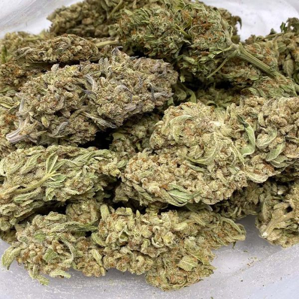 Amnesia Haze, also known as "Amnesia," is known for its uplifting and energetic high. Buy award winning sativa strains online in Canada.