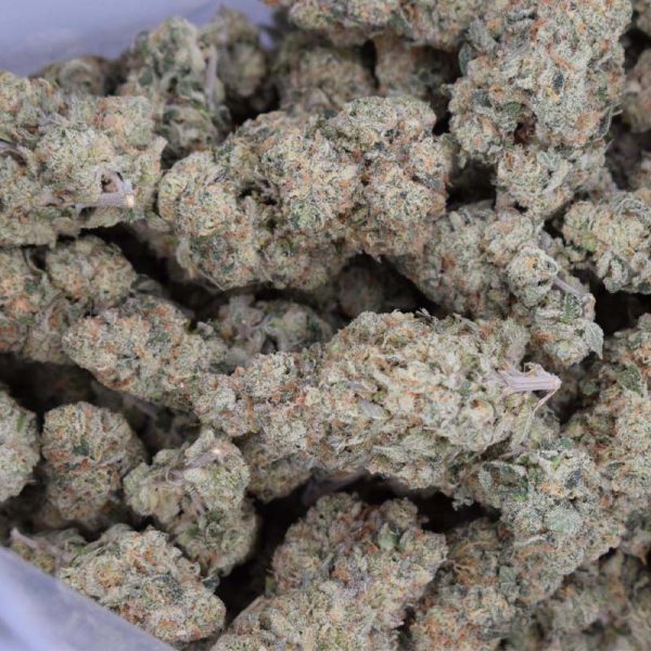 Biscotti (AAA+)