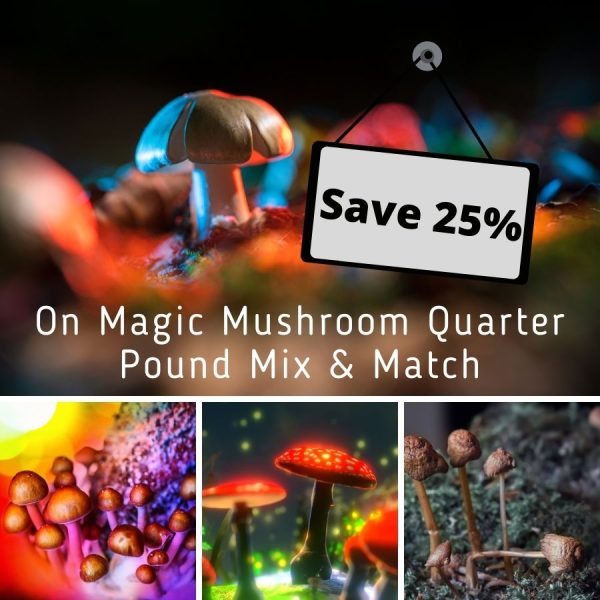 Buy psilocybin mushrooms in bulk online in Canada with free shipping.