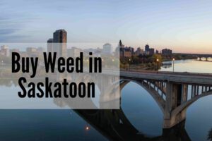 Where can you go to buy weed in Saskatoon?