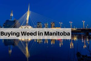 Buy weed in Manitoba online and get it shipped or delivered.