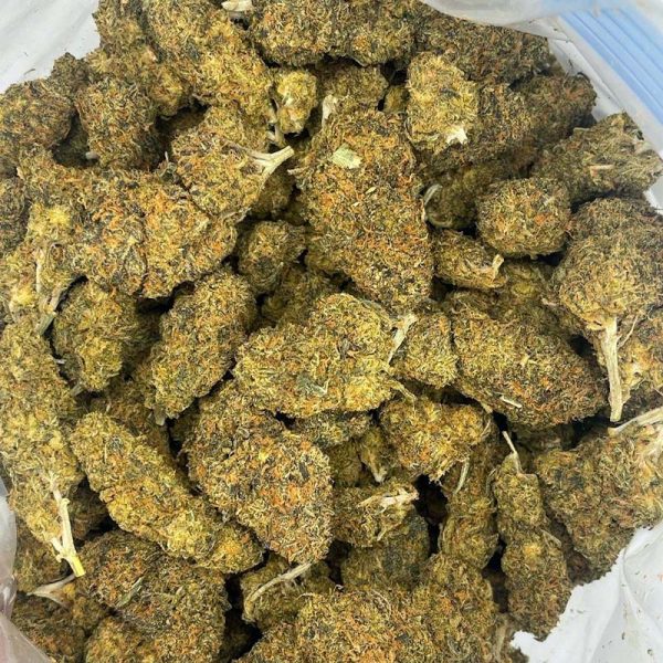 Buy Sour Diesel strain online in Canada.