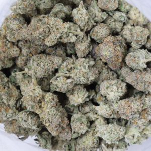 Sundae Driver is an even hybrid cannabis strain with amazing bag appeal and rich creamy flavours.