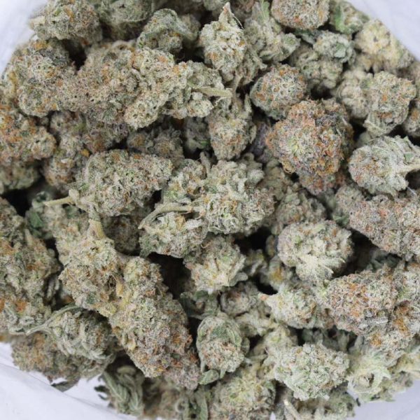 Sundae Driver is an even hybrid cannabis strain with amazing bag appeal and rich creamy flavours.