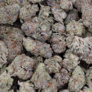 Animal Mints (AAAA)