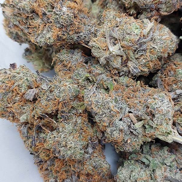 Vanilla Gorilla is a rare indica dominant strain that was bred by the infamous Exotic Genetix.