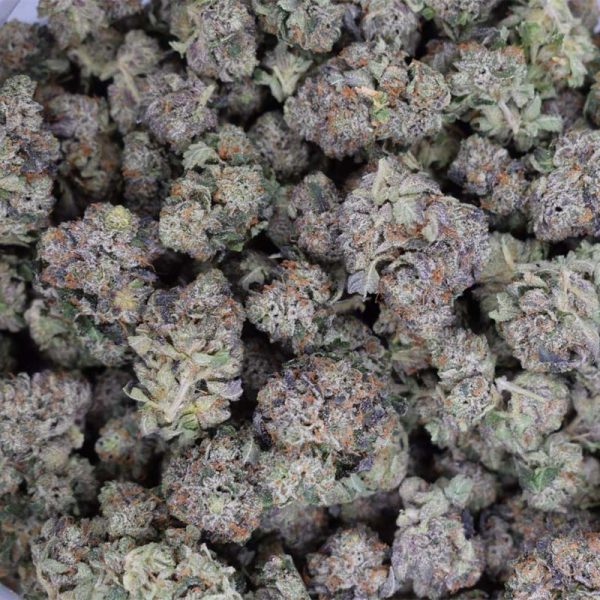 Motor Cake (Quad Smalls) Gas!