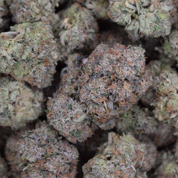 LSO Death Chapo (AAAA)