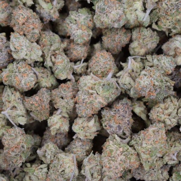 Sour Blueberry