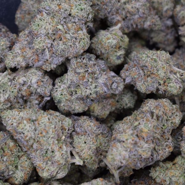 Blackberry Pie (AAA+)