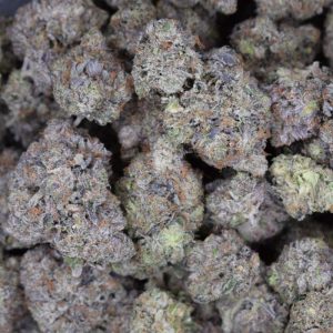 Purple Octane (AAAA)